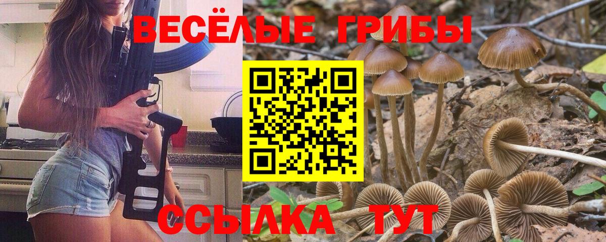 Псилоцибиновые грибы Magic Shrooms  Вход с VPN  Псилоцибиновые грибы Psilocybe  где купить   Среднеуральск 